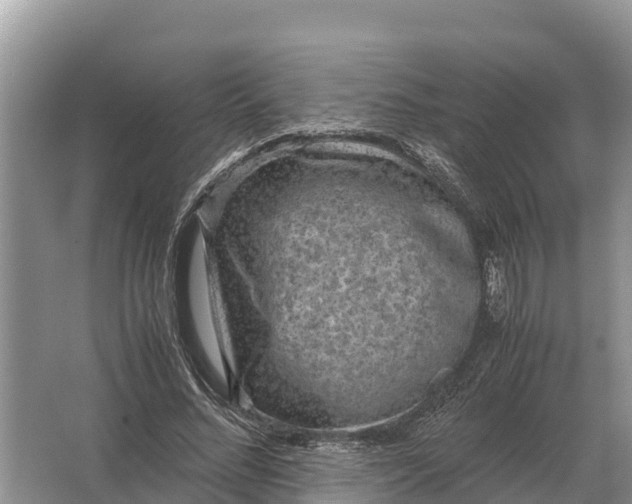 X0000064770684200602241954