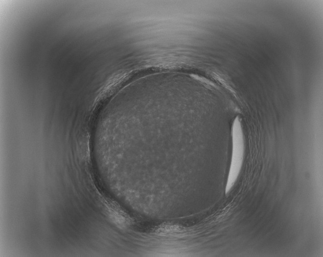 X0000064770685200602241954