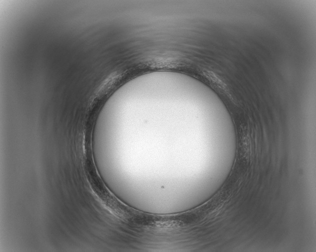 X0000064770686200602241954