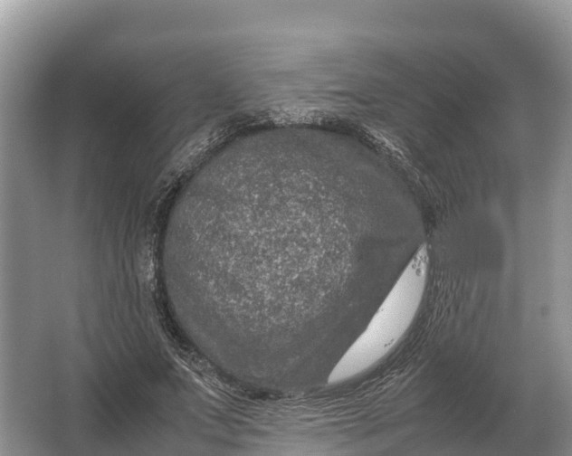 X0000064770687200602241954