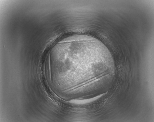 X0000064770688200602241954