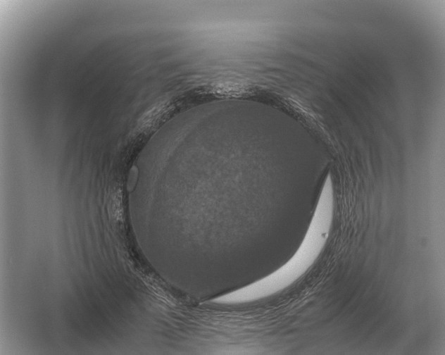 X0000064770689200602241954