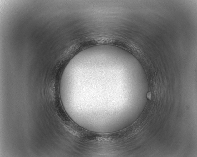 X0000064770690200602241954