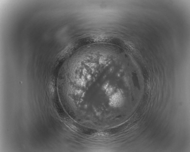 X0000064770691200602241954