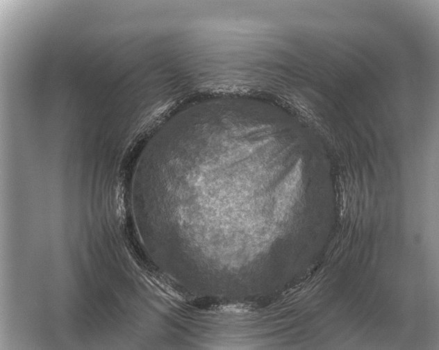 X0000064770692200602241954