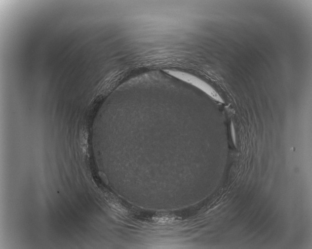 X0000064770693200602241954