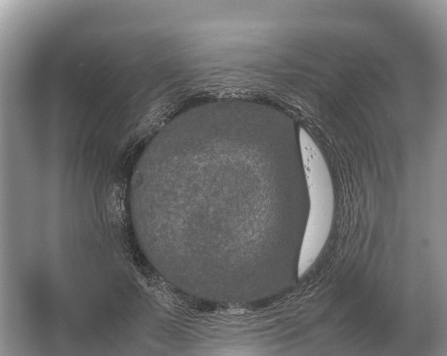 X0000064770695200602241954