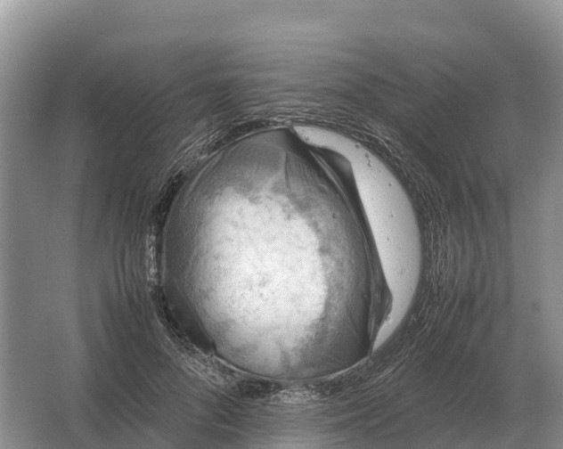 X0000064770696200602241954