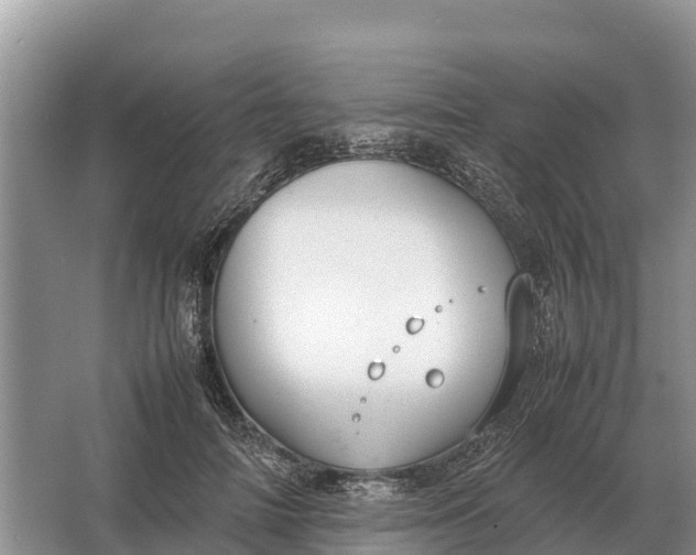 X0000064770698200602241954