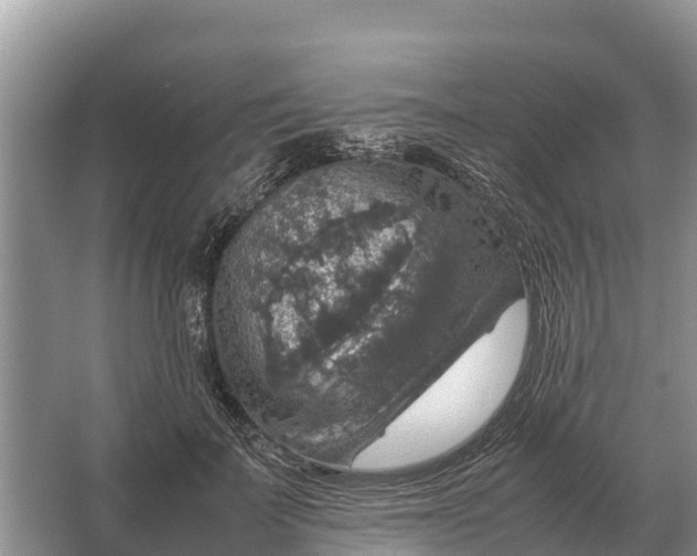 X0000064770699200602241954