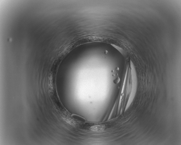 X0000064770700200602241954