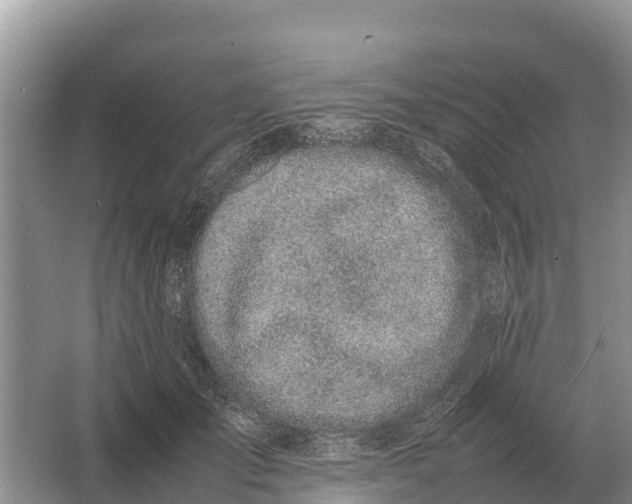 X0000064770701200602241954