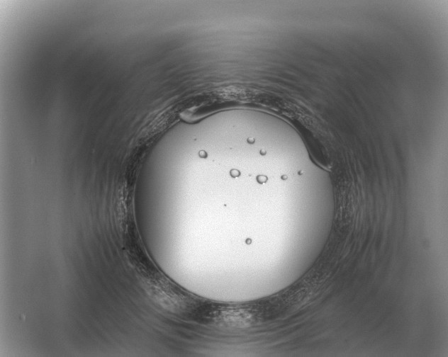 X0000064770702200602241954