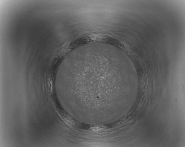 X0000064770703200602241954