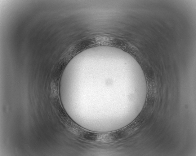 X0000064770705200602241954