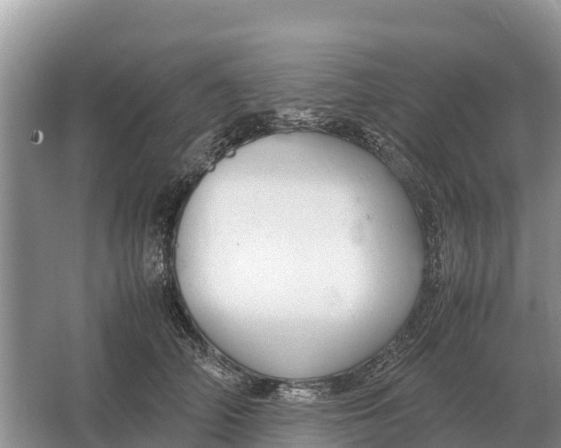 X0000064770706200602241954