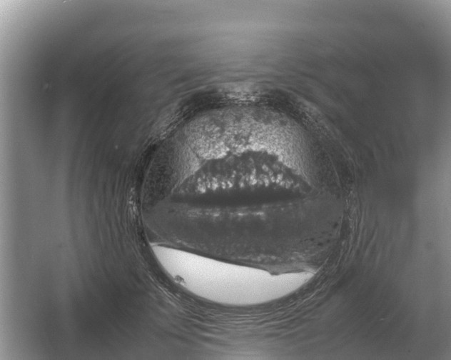 X0000064770707200602241954