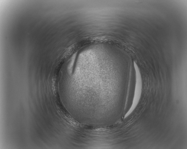 X0000064770708200602241954