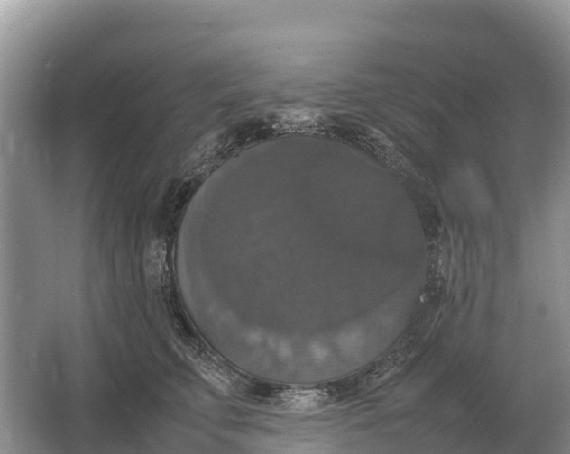 X0000064770711200602241954