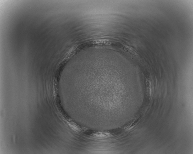 X0000064770712200602241954