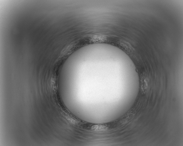 X0000064770714200602241954