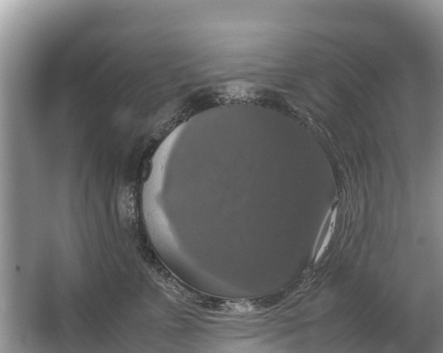 X0000064770715200602241954