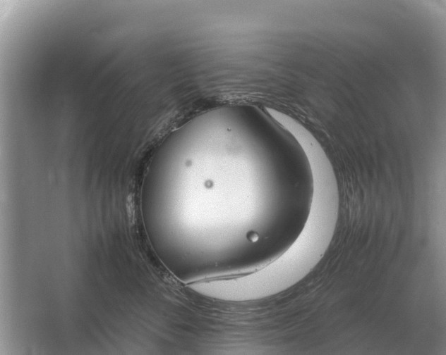 X0000064770716200602241954