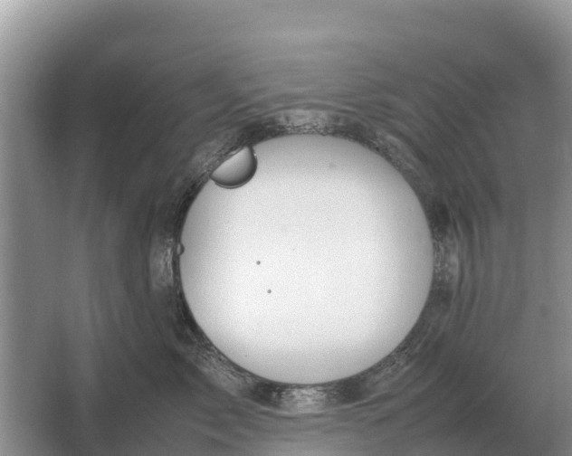 X0000064770717200602241954