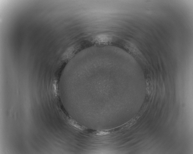 X0000064770718200602241954