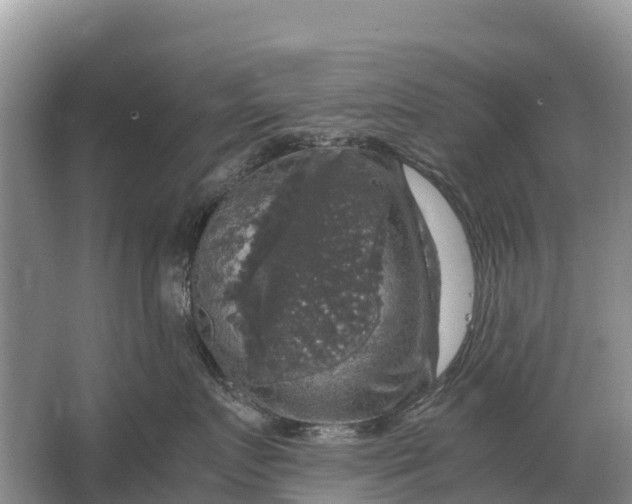 X0000064770719200602241954