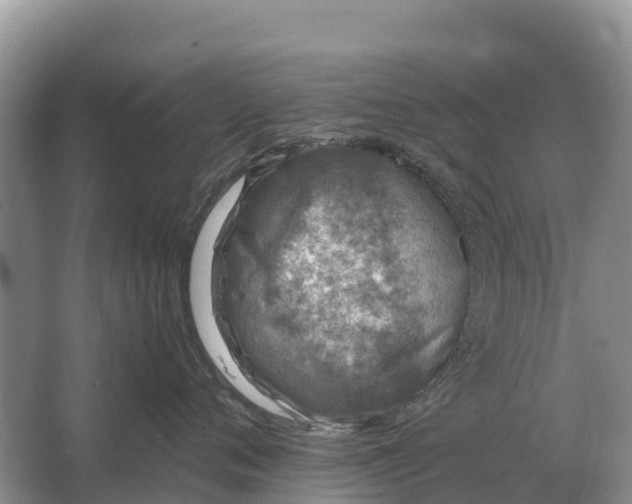 X0000064770720200602241953