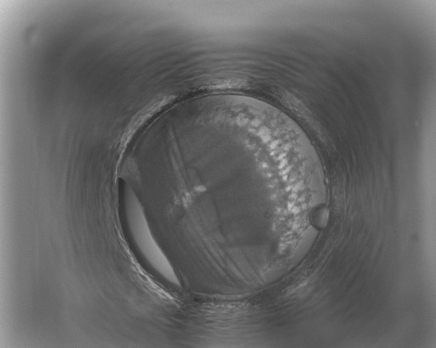 X0000064770721200602241952