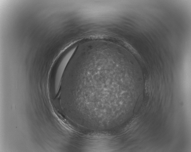 X0000064770722200602241952