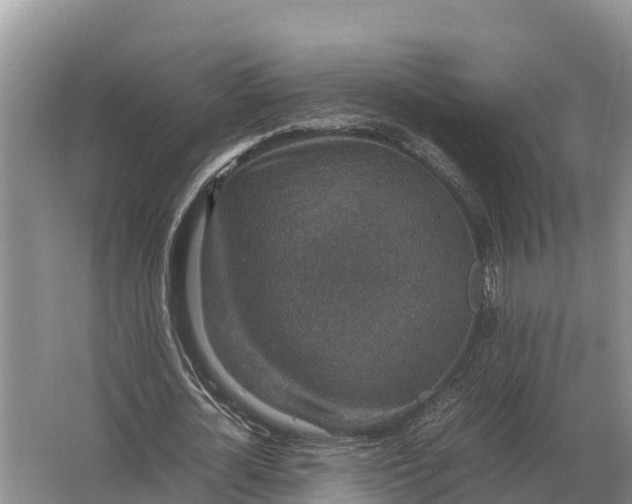 X0000064770724200602241952