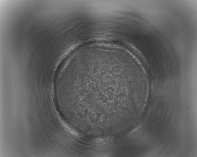 X0000064770725200602241952