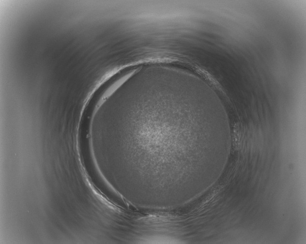 X0000064770726200602241952