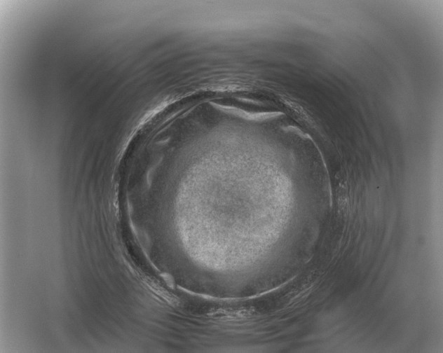 X0000064770727200602241952