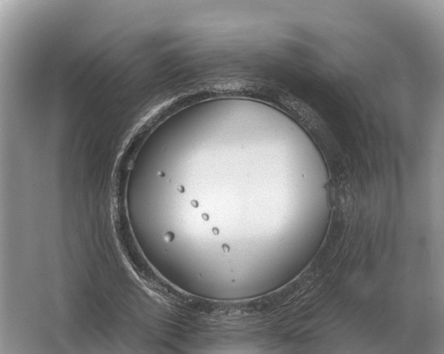 X0000064770728200602241952