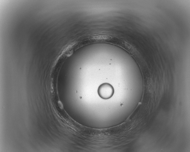 X0000064770731200602241953