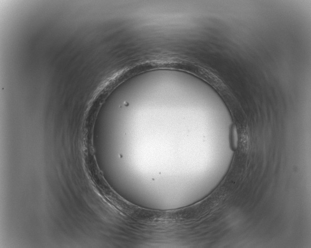 X0000064770732200602241953