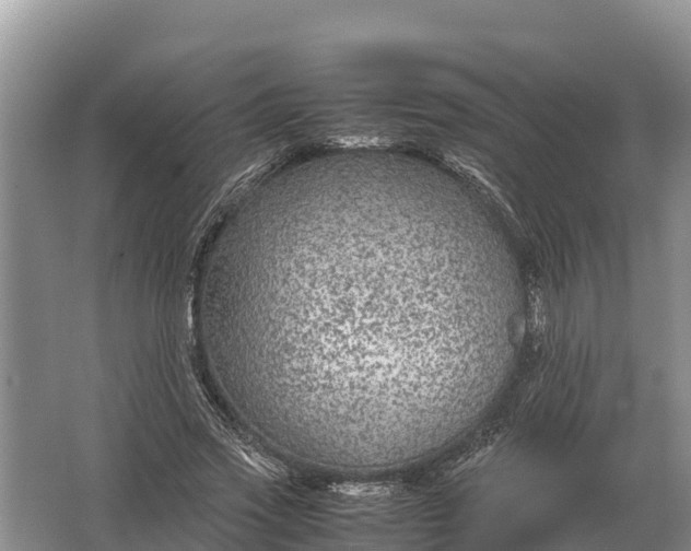 X0000064770733200602241953