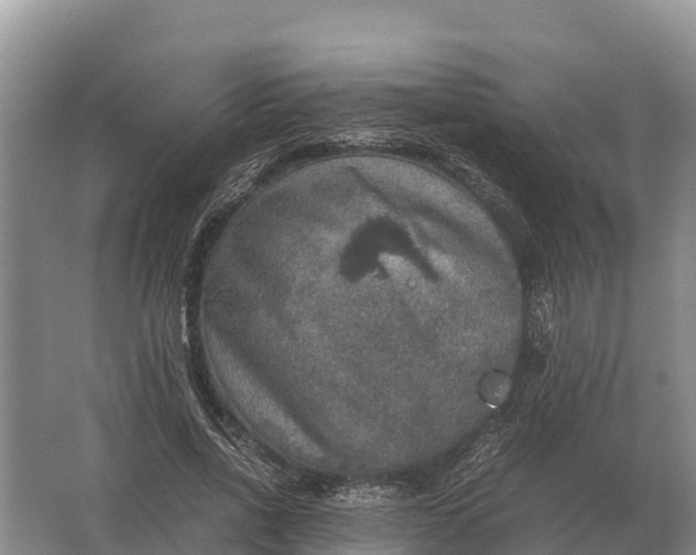 X0000064770734200602241953