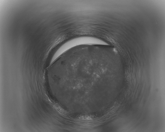 X0000064770735200602241953