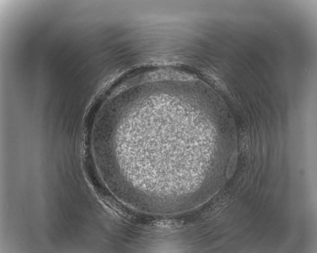 X0000064770736200602241953