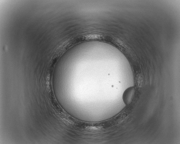 X0000064770737200602241953