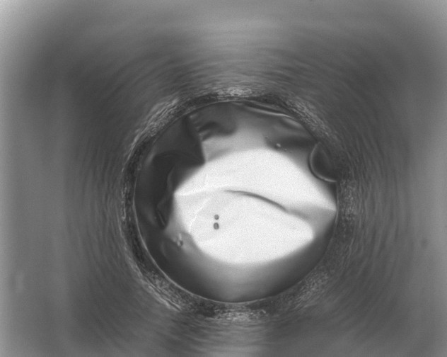 X0000064770738200602241953