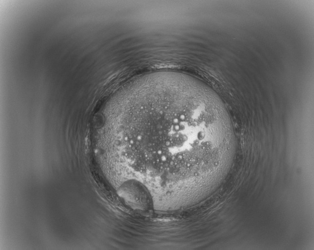 X0000064770741200602241953