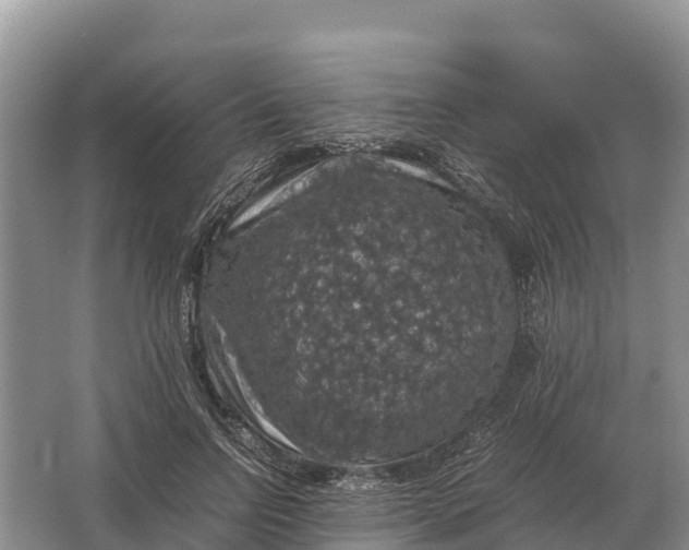 X0000064770742200602241953