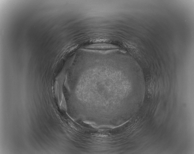 X0000064770743200602241953