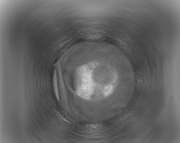 X0000064770745200602241953